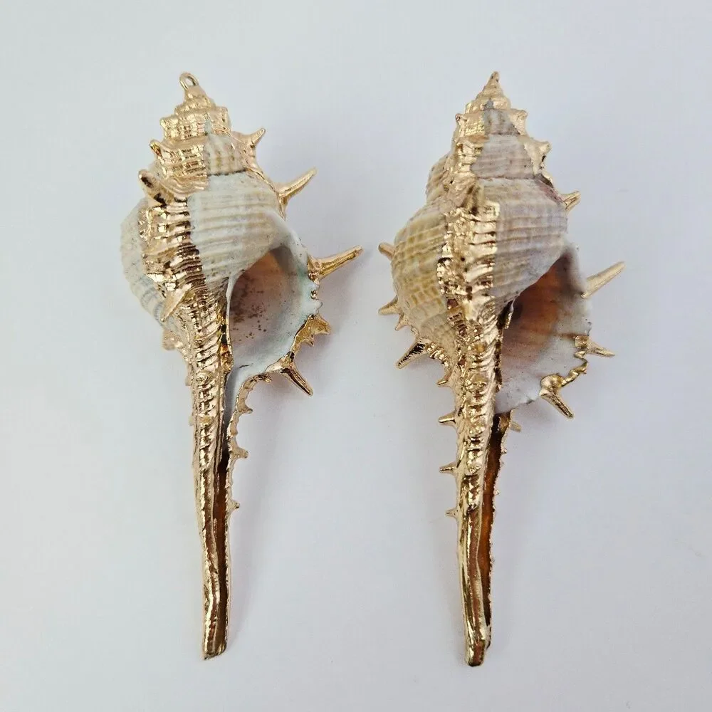 2 Large Natural Shell Charm Pendants for Jewelry Making Craft Supply Earrings